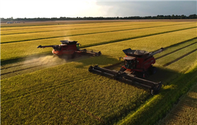 D-SWITCH確立在農業機械開關市場的專業地位, 并擴大 agmachine產品系列以滿足新需求